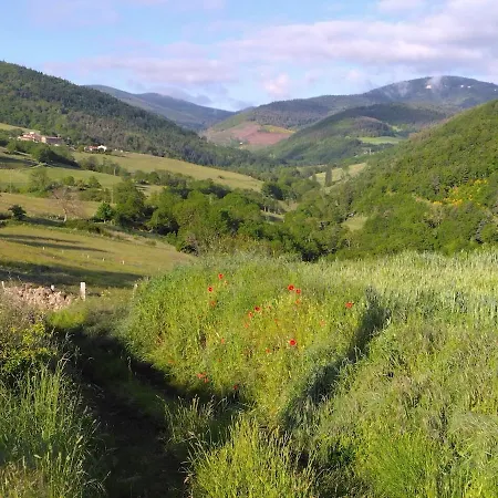 Maison Chaleureuse Au Calme Satillieu